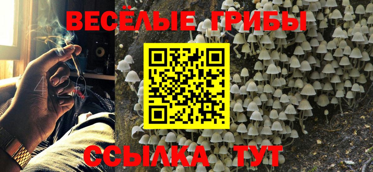 Галлюциногенные грибы ЛСД Долгопрудный
